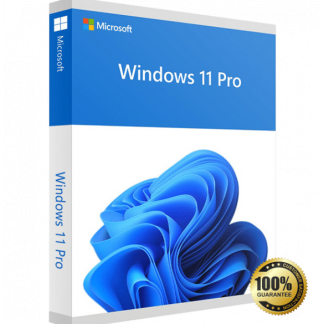 Windows 11 Professional - Lifetime License Digital Product key