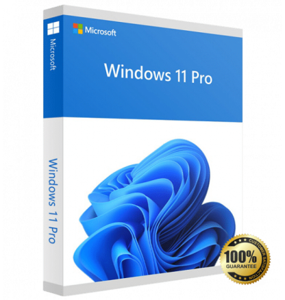 Windows 11 Professional - Lifetime License Digital Product key