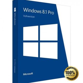 Windows 8.1 Professional