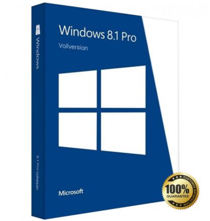 Windows 8.1 Professional